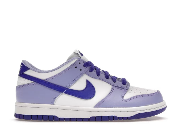 Nike Dunk Low Blueberry (Grade School)